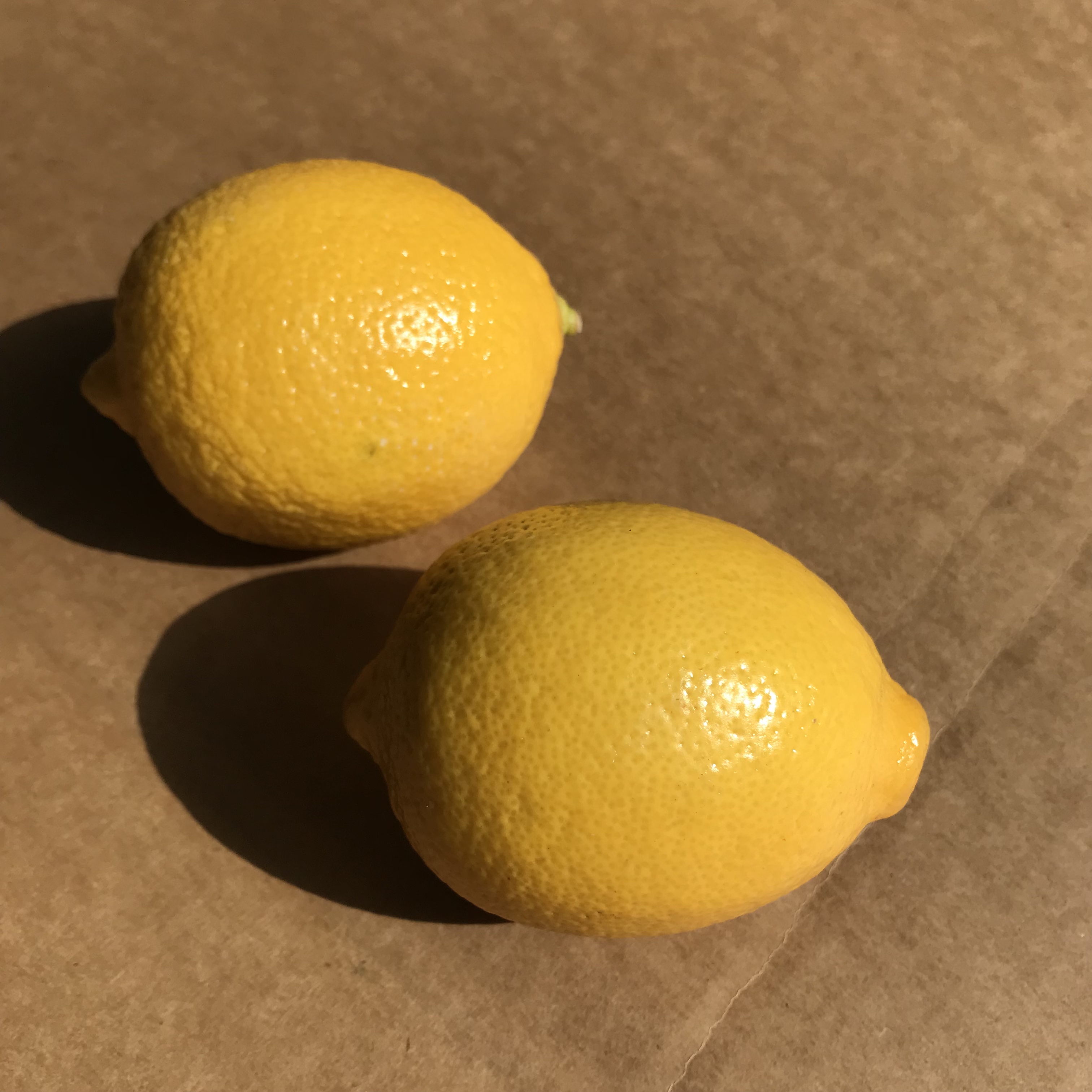 レモン（3個）