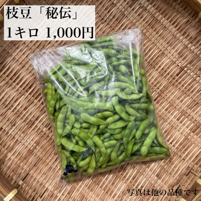 枝豆「秘伝」1キロ1,000円